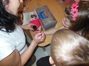 Neposedný méďa - ČČK Mladá Boleslav